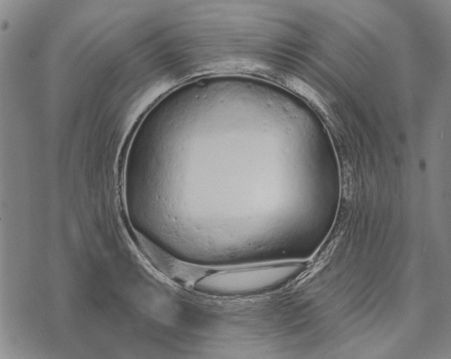 X0000073761087200608241406