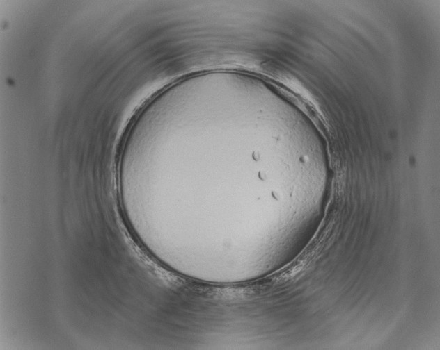 X0000073761088200608241406