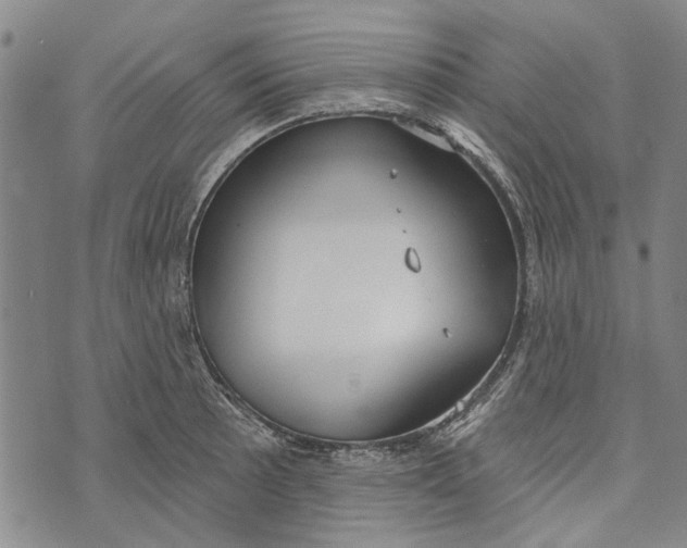 X0000073761089200608241406