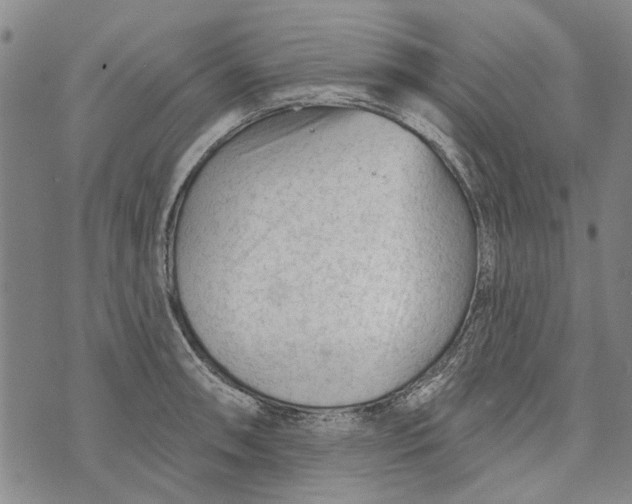 X0000073761090200608241406