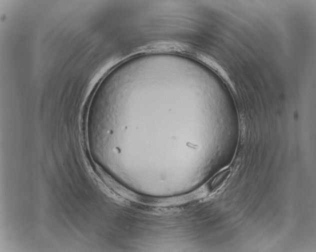 X0000073761091200608241406