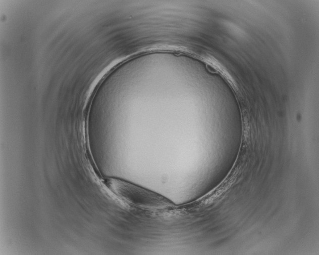 X0000073761092200608241406