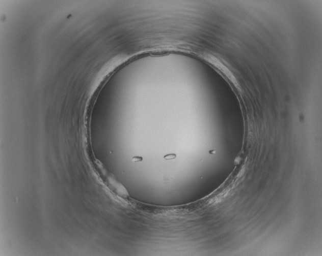 X0000073761093200608241406