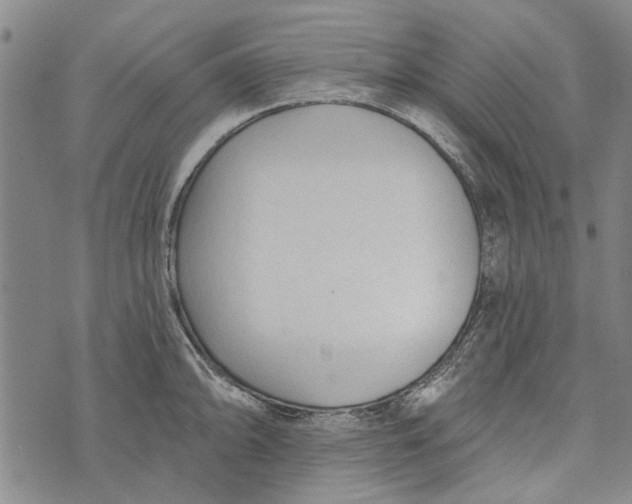 X0000073761094200608241406