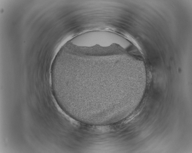 X0000073761095200608241406