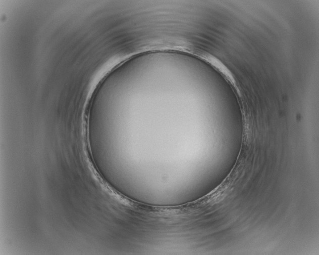 X0000073761096200608241406