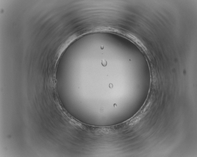 X0000073761097200608241406