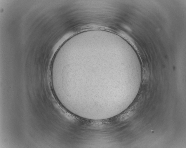 X0000073761098200608241406