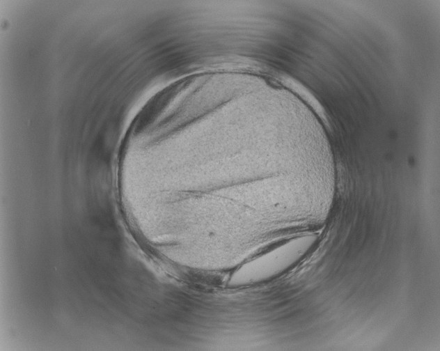 X0000073761099200608241406