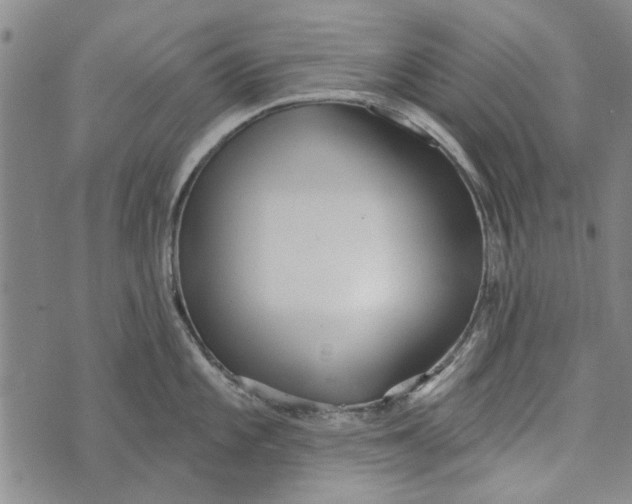 X0000073761101200608241406