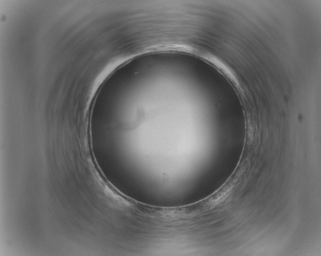 X0000073761102200608241406