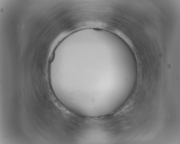 X0000073761104200608241406