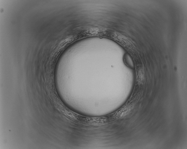 X0000073761105200608241405