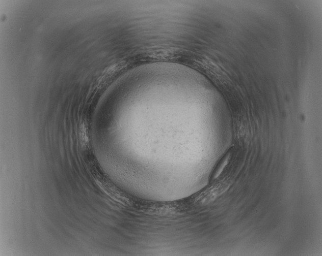 X0000073761106200608241405