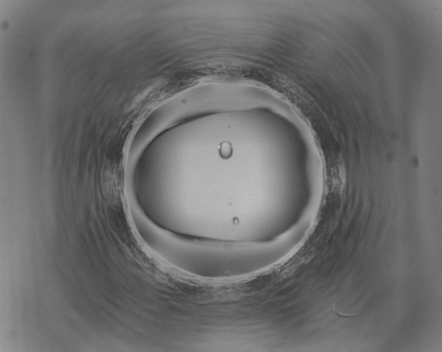 X0000073761108200608241405