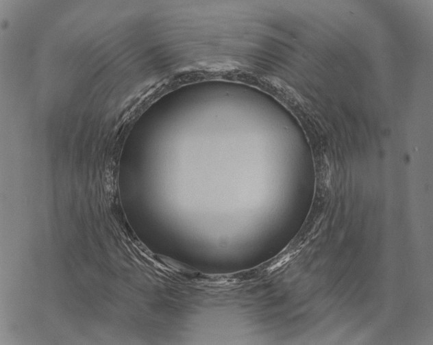 X0000073761110200608241405