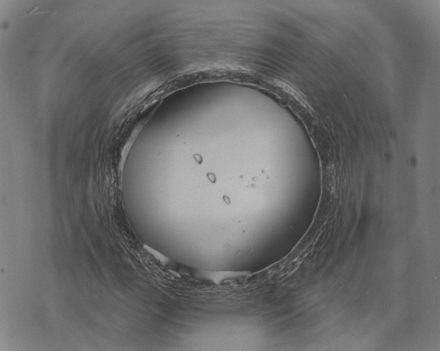 X0000073761111200608241405