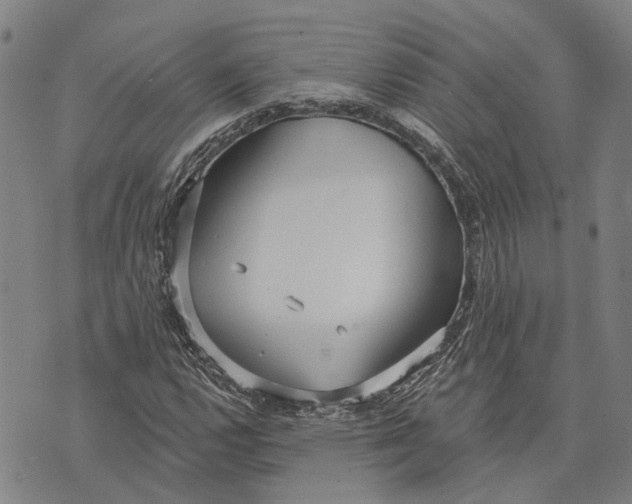 X0000073761112200608241405