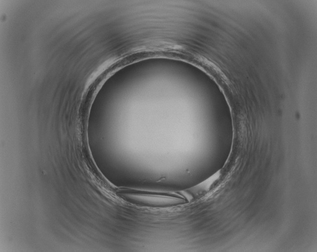 X0000073761114200608241405