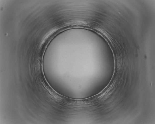 X0000073761115200608241405