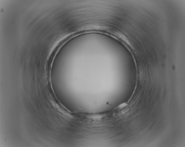 X0000073761116200608241405