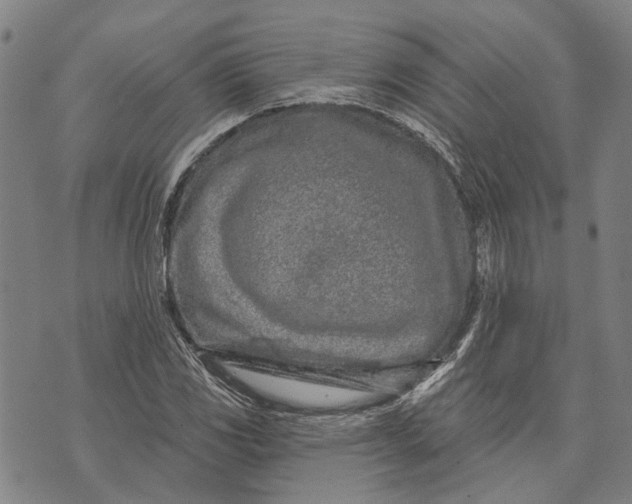 X0000073761117200608241405