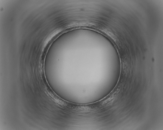 X0000073761119200608241405