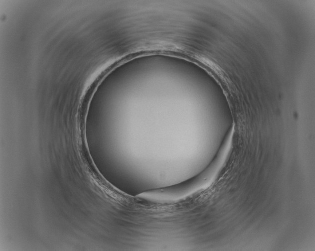 X0000073761120200608241405