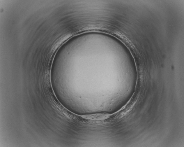 X0000073761121200608241405