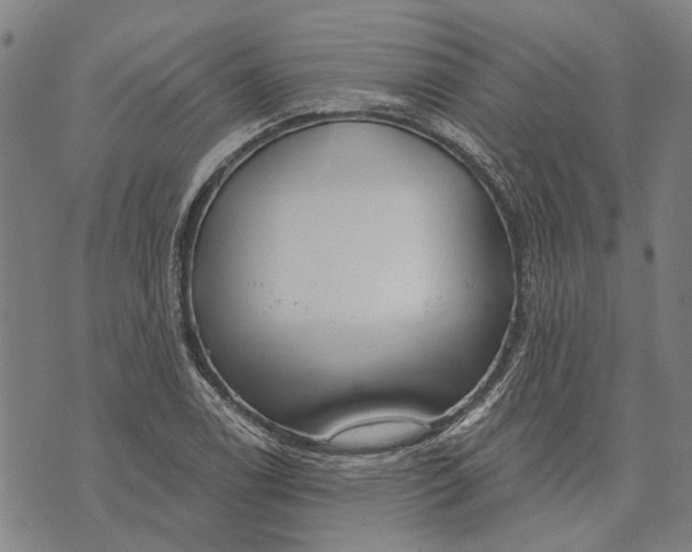 X0000073761122200608241405