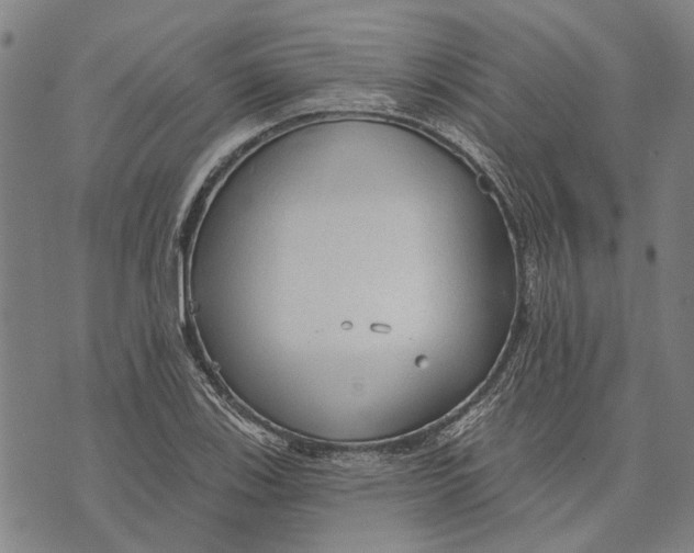 X0000073761123200608241405