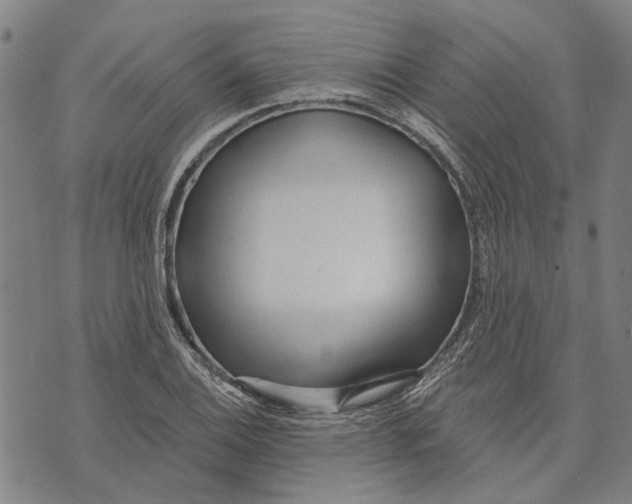 X0000073761124200608241405