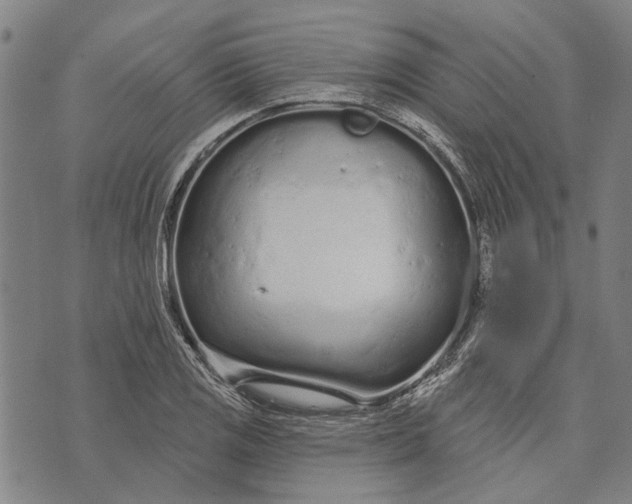 X0000073761125200608241405