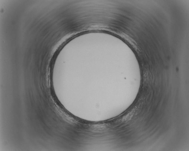 X0000073761126200608241405