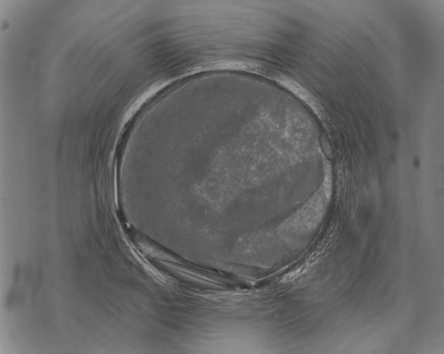 X0000073761127200608241405