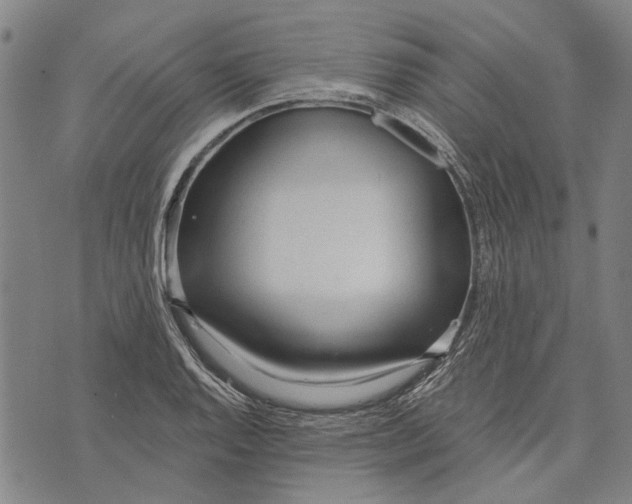 X0000073761128200608241405