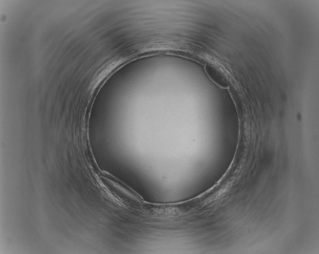 X0000073761129200608241405