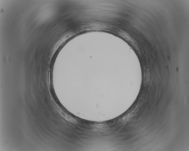 X0000073761130200608241405