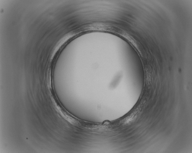 X0000073761131200608241405