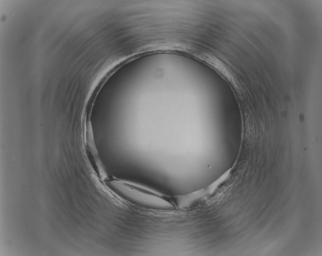 X0000073761132200608241405