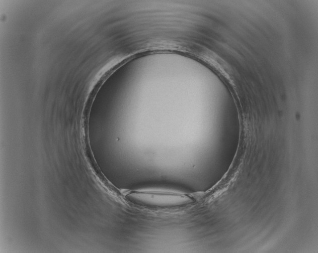 X0000073761133200608241405