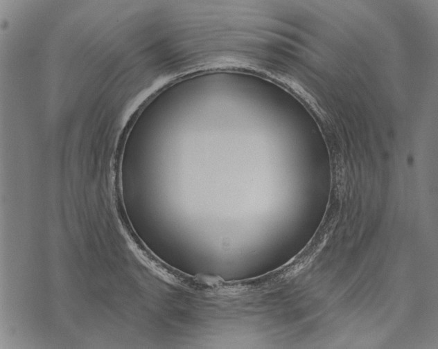 X0000073761134200608241405