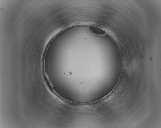 X0000073761135200608241405