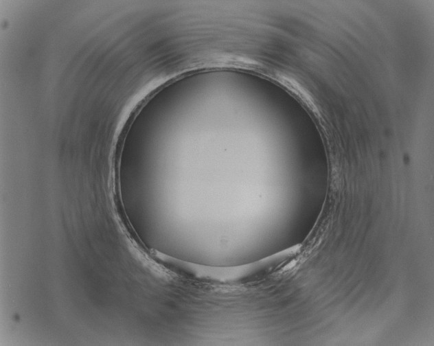 X0000073761136200608241405