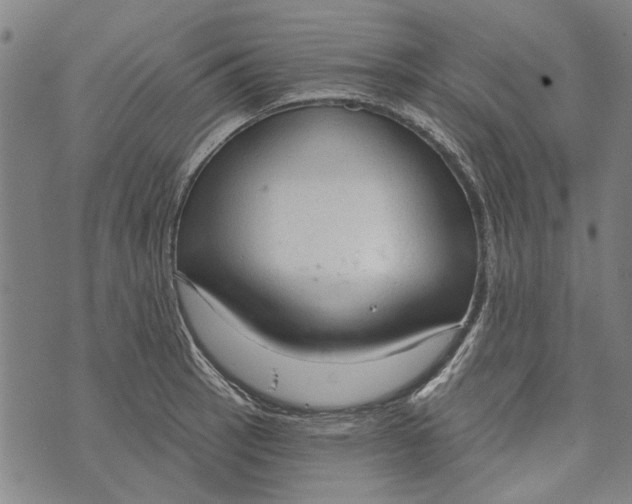 X0000073761137200608241405