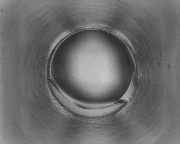 X0000073761138200608241405