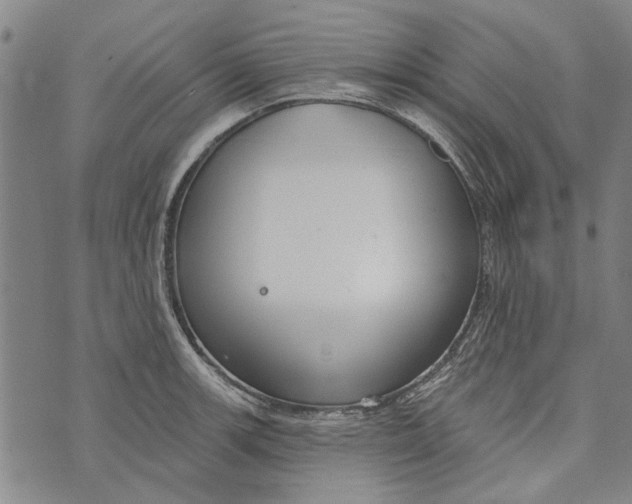 X0000073761139200608241405