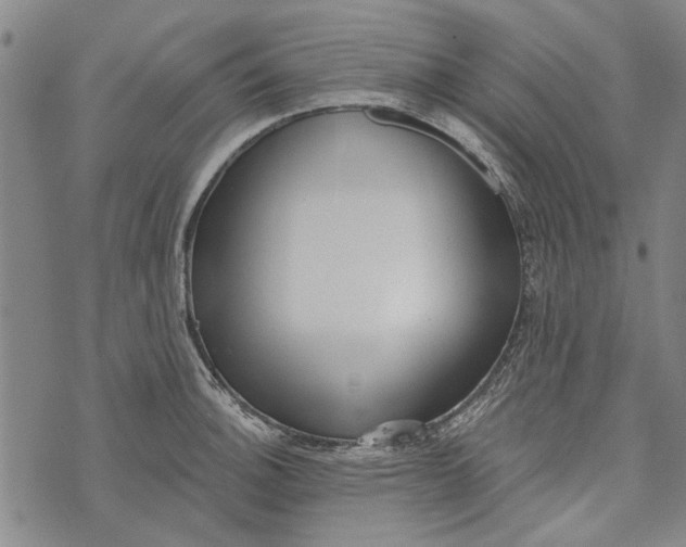 X0000073761140200608241405