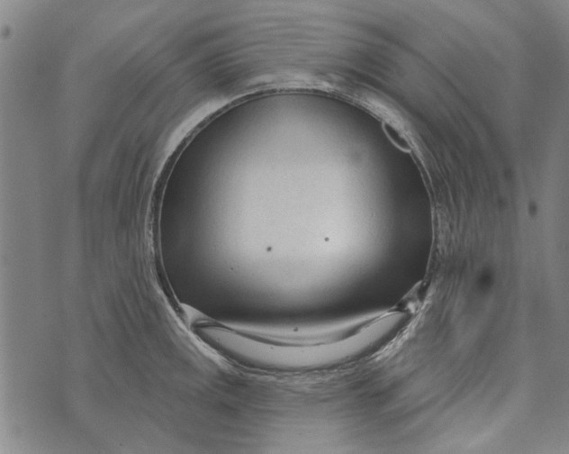 X0000073761141200608241405