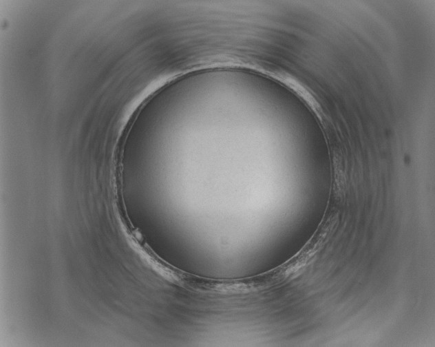 X0000073761142200608241405